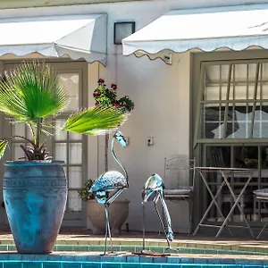 **** Guest house Wild Olive South Africa